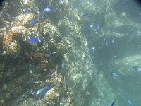 21年 あじろ浜 行く前に 見どころをチェック トリップアドバイザー 21年 あじろ浜 行く前に 見どころをチェック トリップアドバイザー