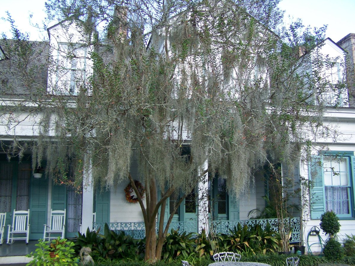 THE MYRTLES (SAINT FRANCISVILLE, LA): 1.122 fotos, comparação de preços ...