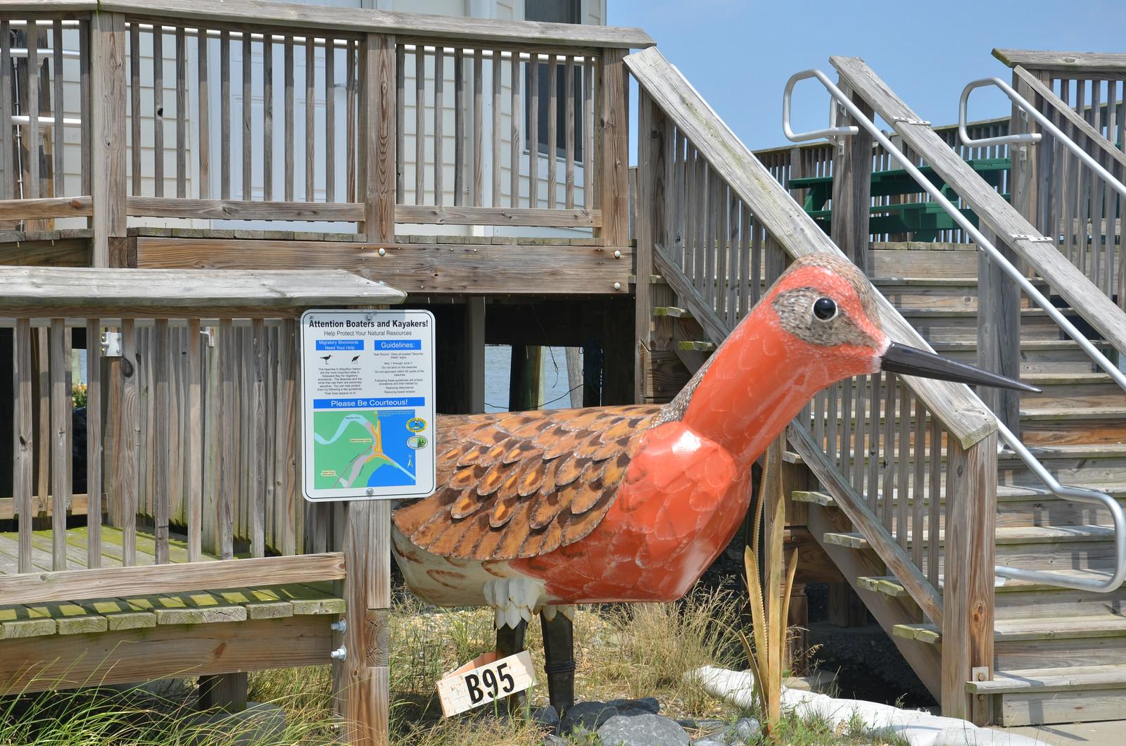 THE 10 BEST Delaware Nature & Wildlife Areas (2024) - Tripadvisor