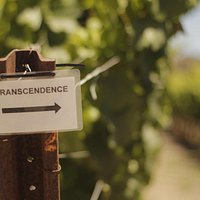 Transcendence