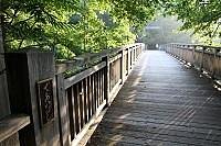 早朝は人と出会いません