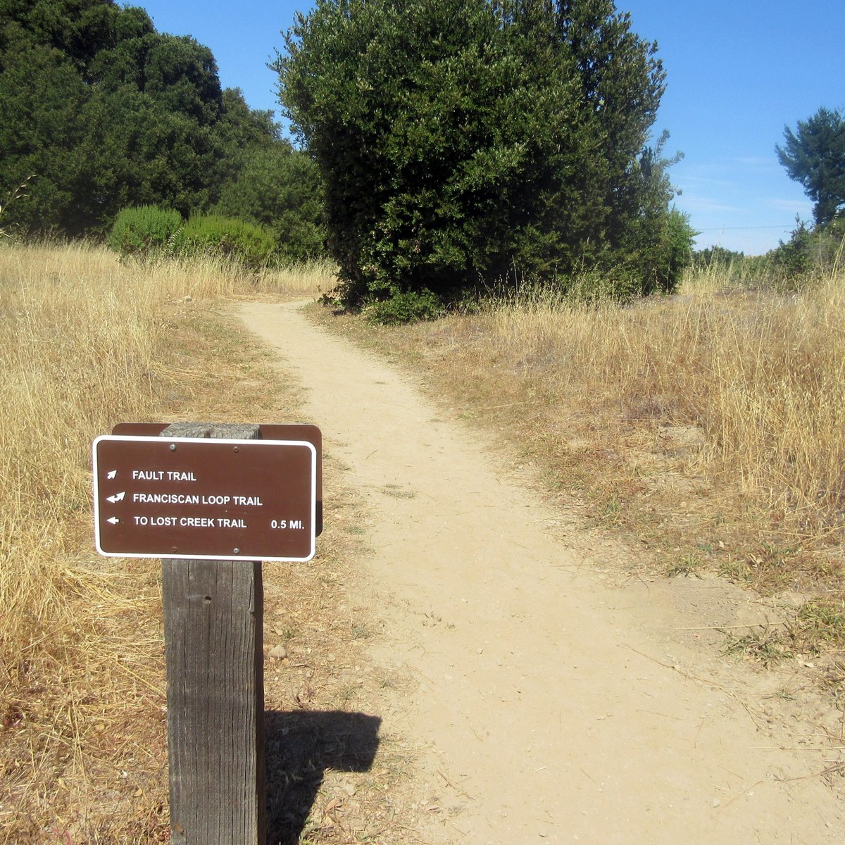 Los Trancos Open Space Preserve - All You Need to Know BEFORE You Go (2024)