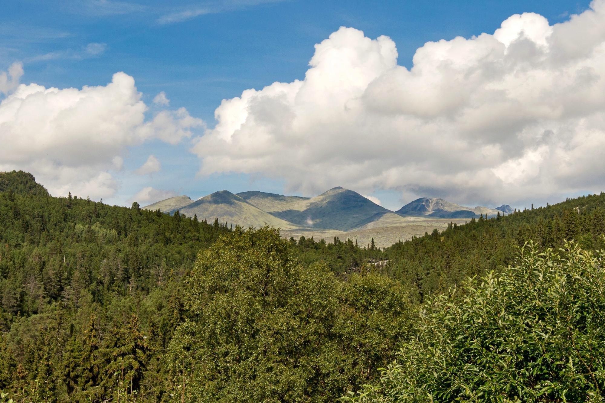 Rondane Høyfjellshotell by null