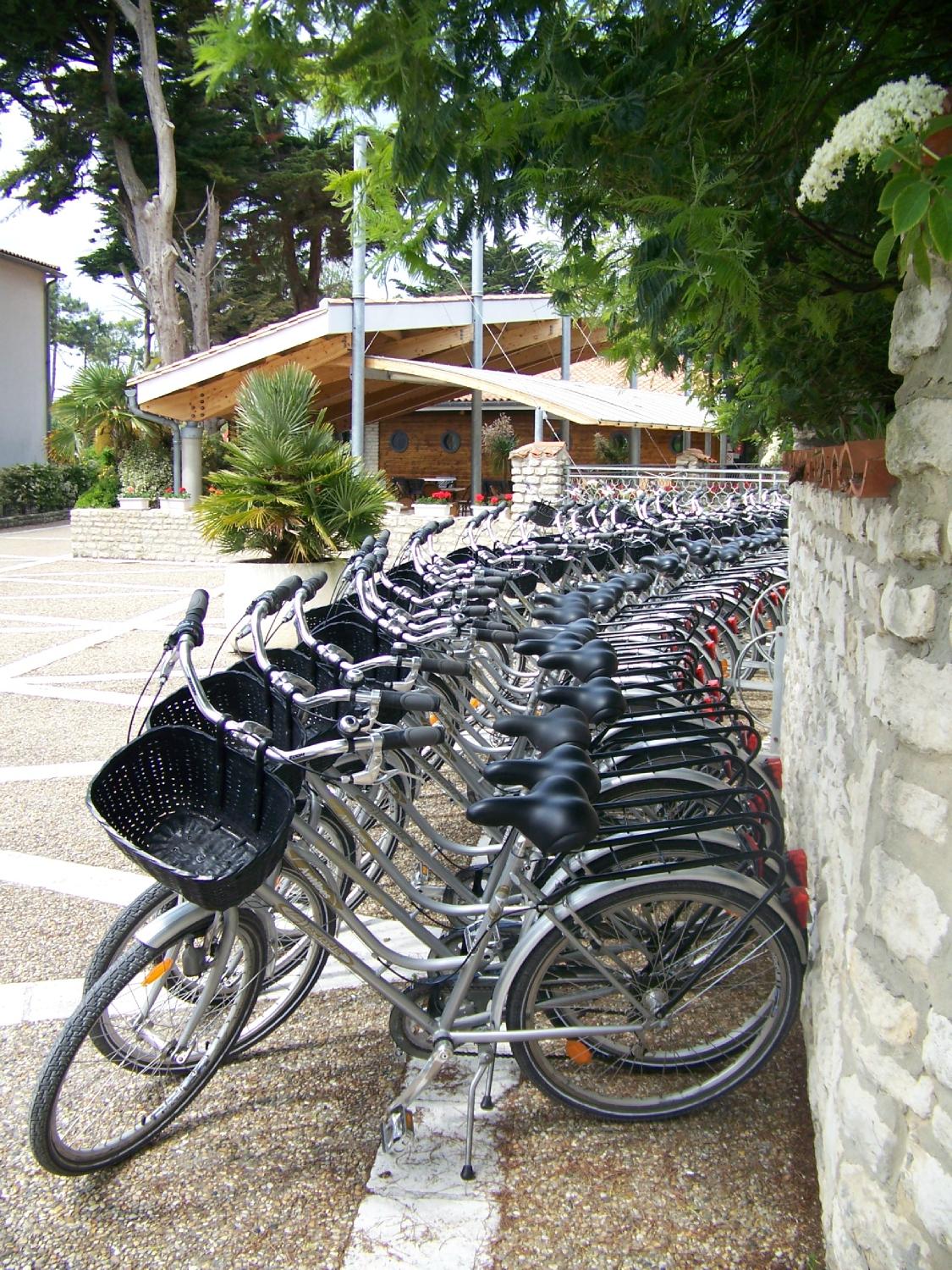 Sainte marie de ré location vélo hot sale