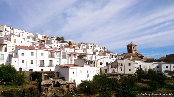 Imagen 13 de Alojamiento Rural Al sur de Granada