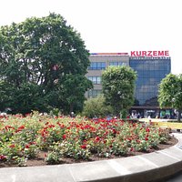 Вид на клумбу с розами