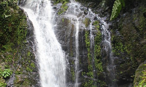 Bukit Gelas waterfall - Tawau Hills Park