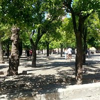 Patio de los naranjos