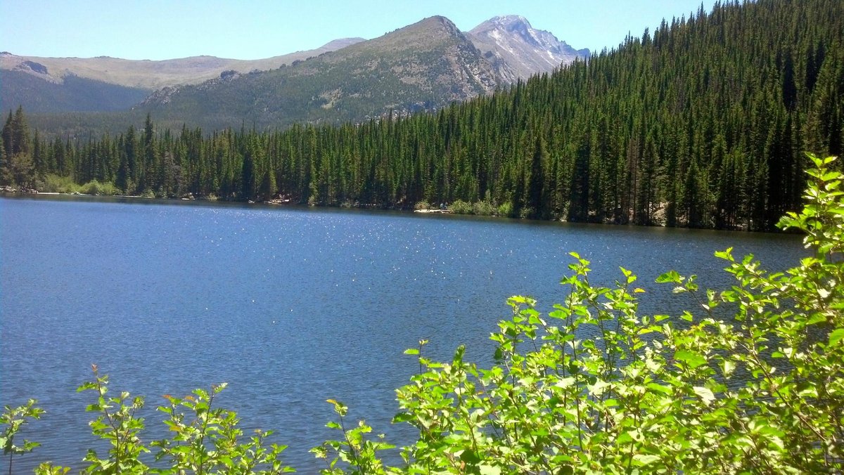 are dogs allowed at bear lake colorado