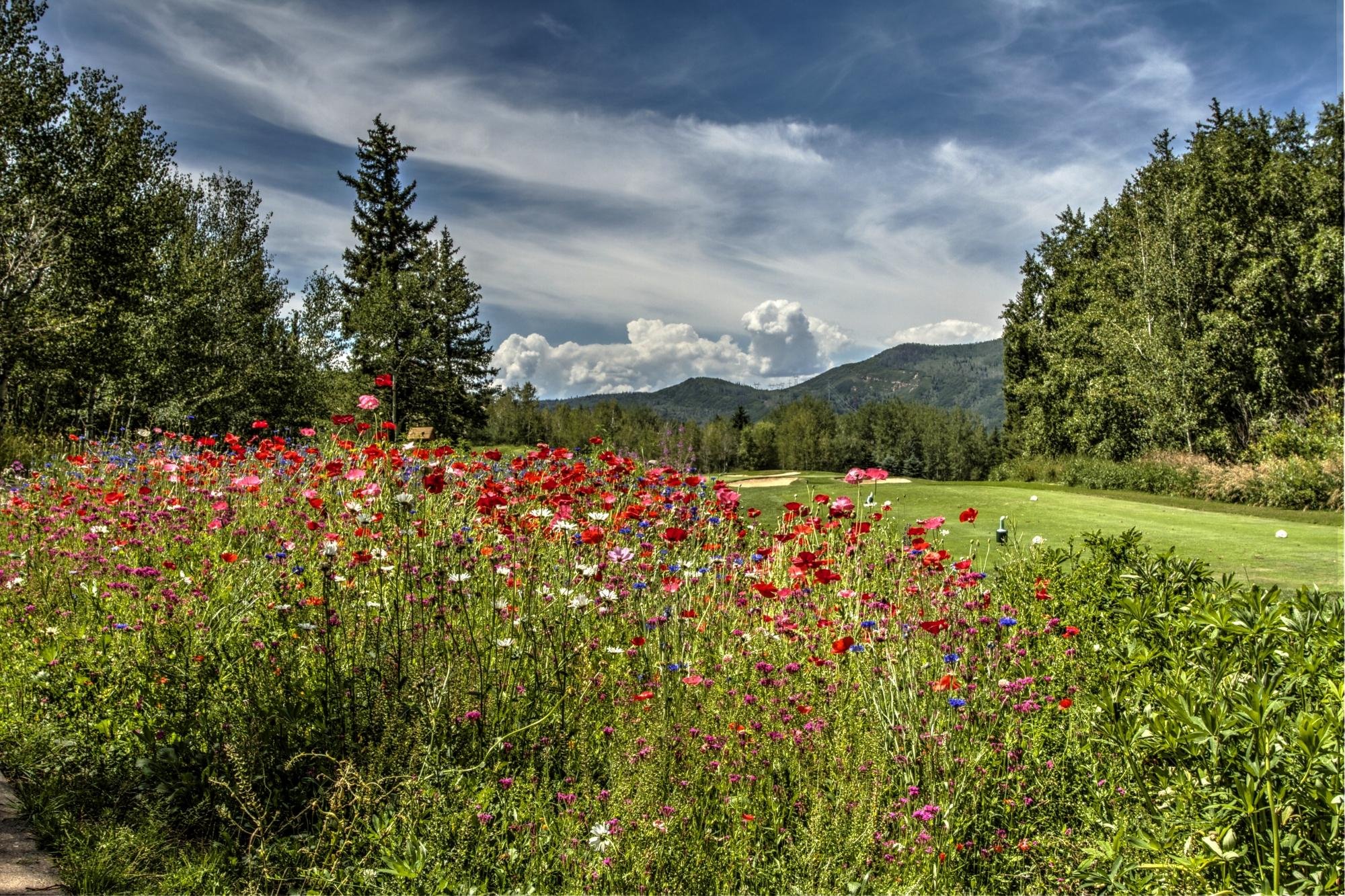 Rollingstone Ranch Golf Club All You Need to Know BEFORE You Go