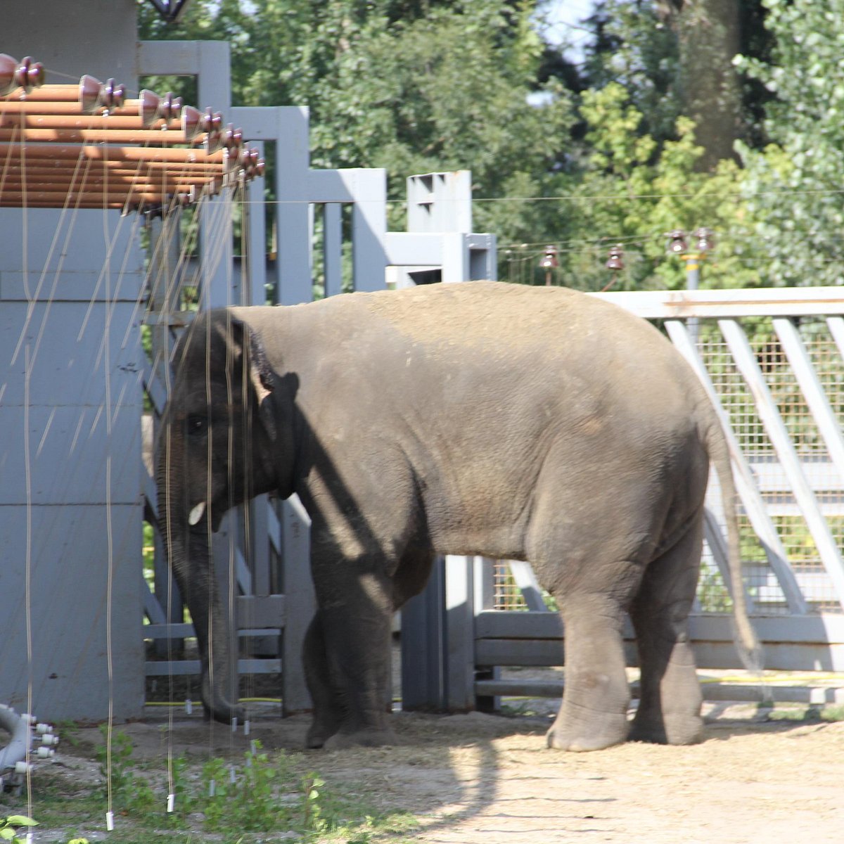 Rostov Zoo (Rostov-on-Don) - Lohnt es sich? Aktuell für 2024 (Mit fotos)