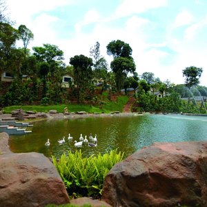 meditation pond