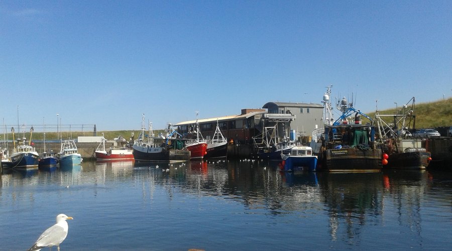Gunsgreen Basin, Eyemouth Harbour