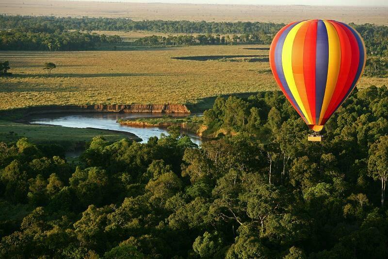 Safari hot shop air balloon