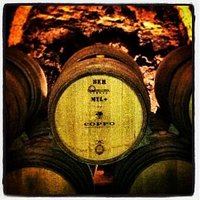 Coppo Wine Cellar - Canelli