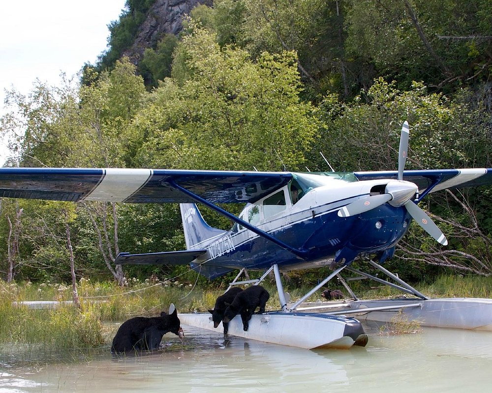 THE 10 BEST Anchorage Air Tours (with Prices) - Tripadvisor