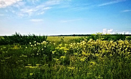 Countryside