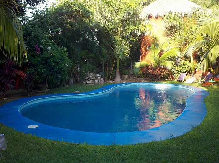 POSADA DE LAS FLORES - Prices & B&B Reviews (Mazunte, Mexico) POSADA DE LAS FLORES - Prices & B&B Reviews (Mazunte, Mexico)