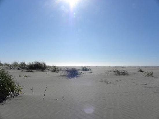 GRAYLAND BEACH STATE PARK - 2023 What to Know BEFORE You Go