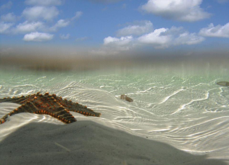 Hotel photo 7 of Waterlovers Beach Resort.