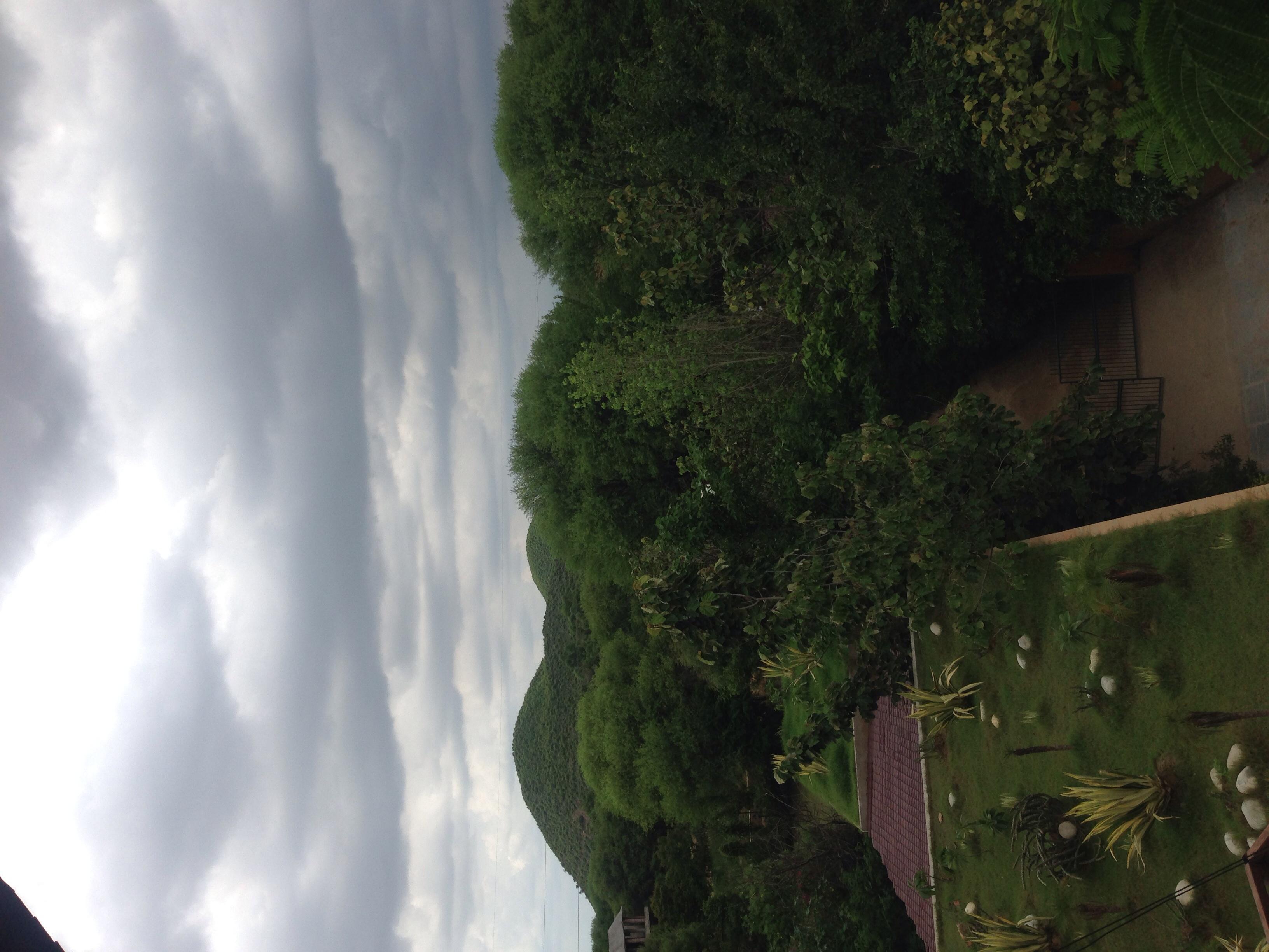 Hotel photo 23 of The Tree House Resort.