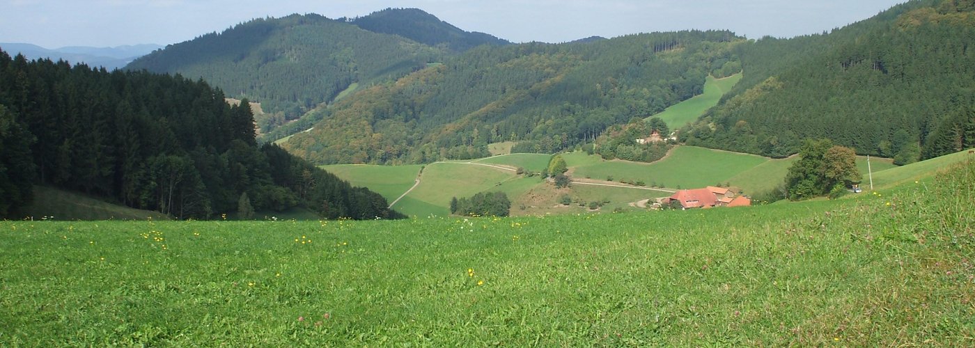 Das Leben kann auch sehr schön sein