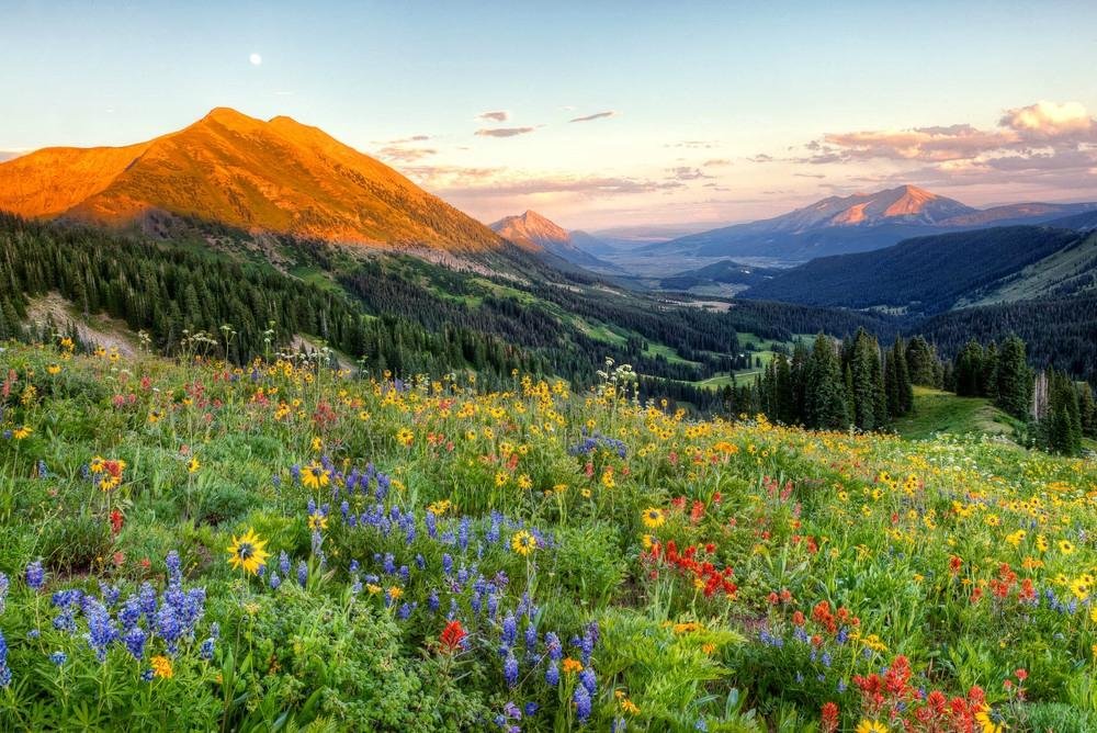 Kebler Pass (Crested Butte) All You Need to Know BEFORE You Go