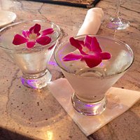 Great martinis, great food, great place for meeting new people..