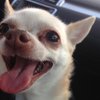 chico12345