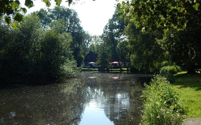 an den teichen
