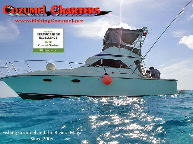 Cozumel Charters - All You Need to Know BEFORE You Go