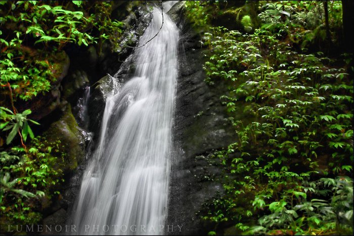 Abundance of Streams at Shivapuri NP.