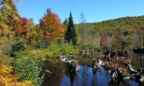 Fall on the Jordan