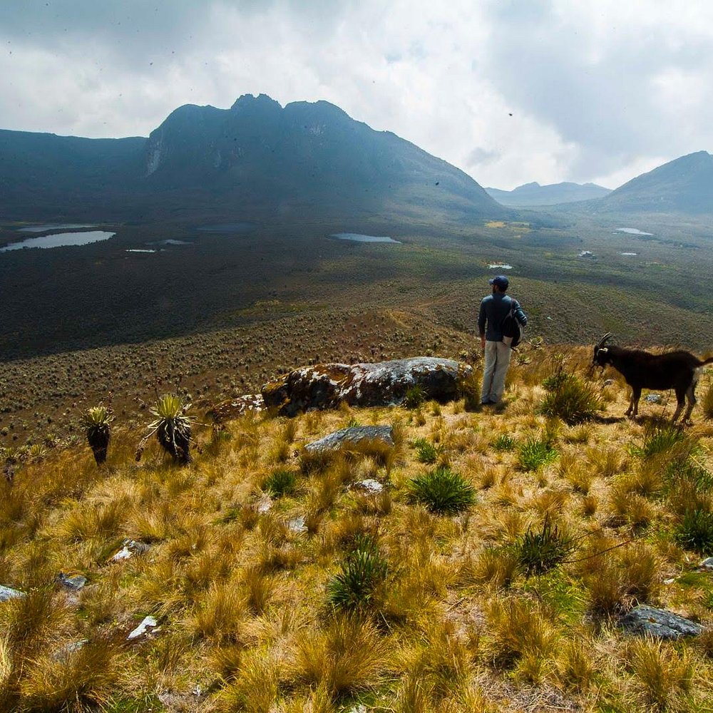 Paramo de Sumapaz (Bogotá) 2021 Qué saber antes de ir