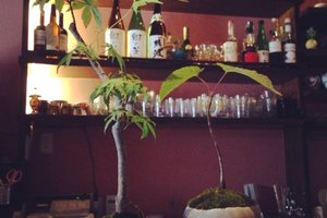 店内