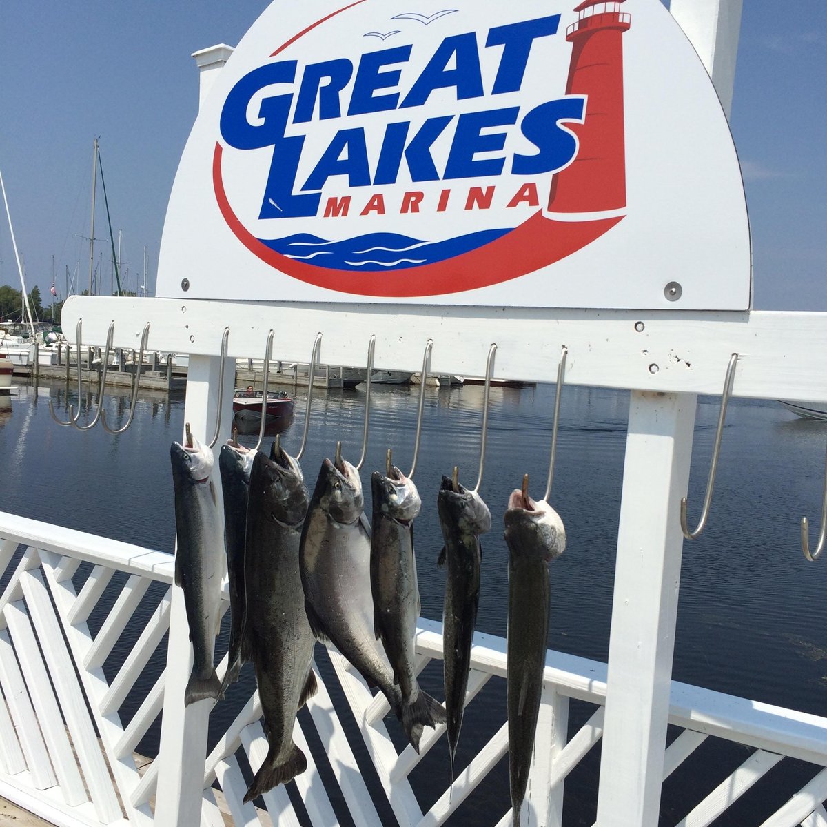 Reel Action fishing charters (Muskegon) All You Need to Know BEFORE