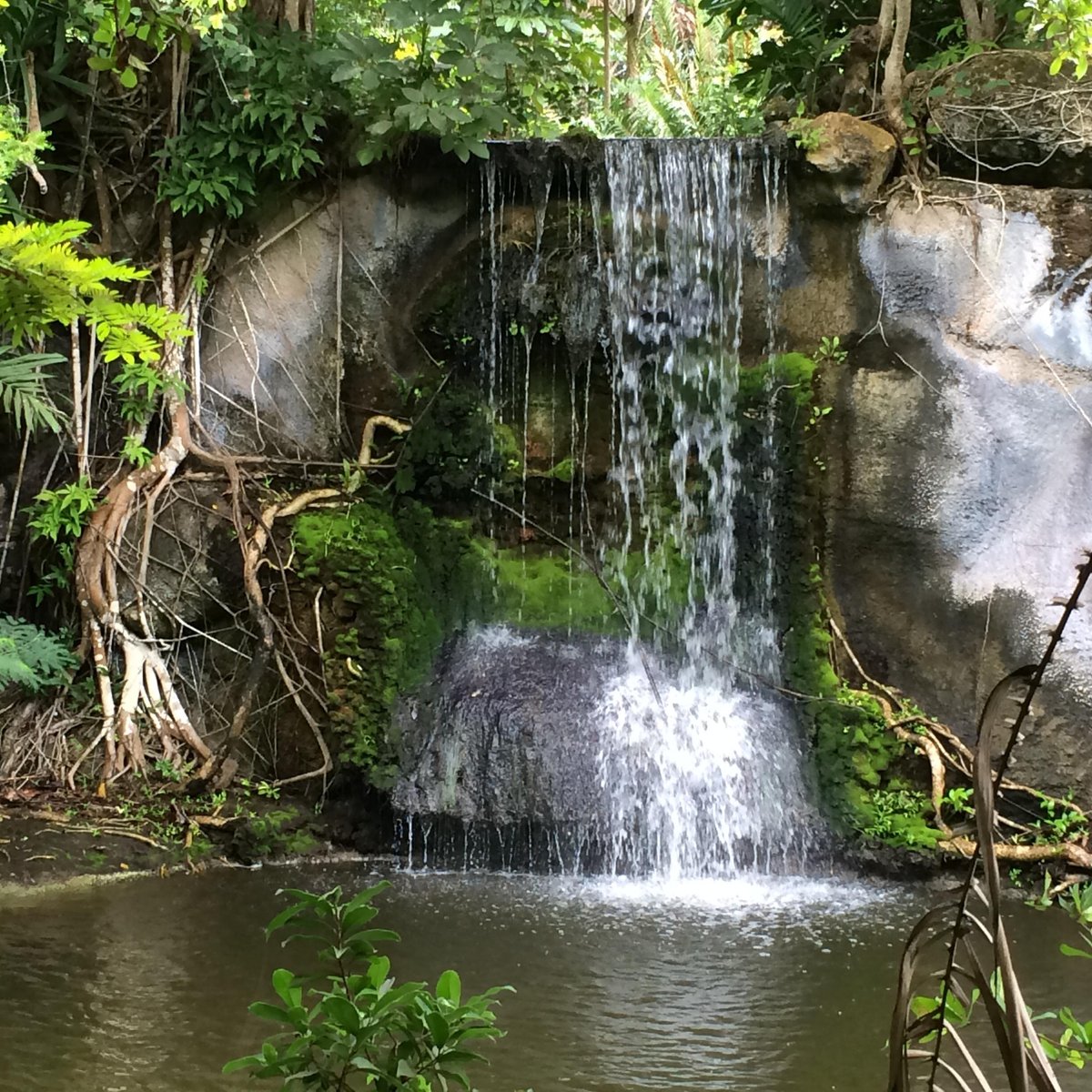 Garden of the Groves, Фрипорт: лучшие советы перед посещением - Tripadvisor