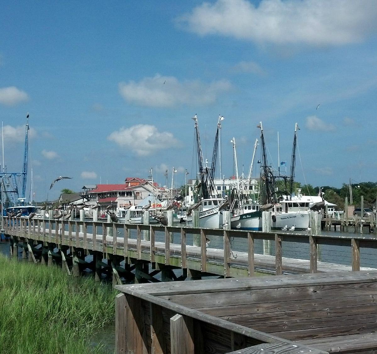 Shem Creek History Tour with Shrimp Boil (Charleston) All You Need to