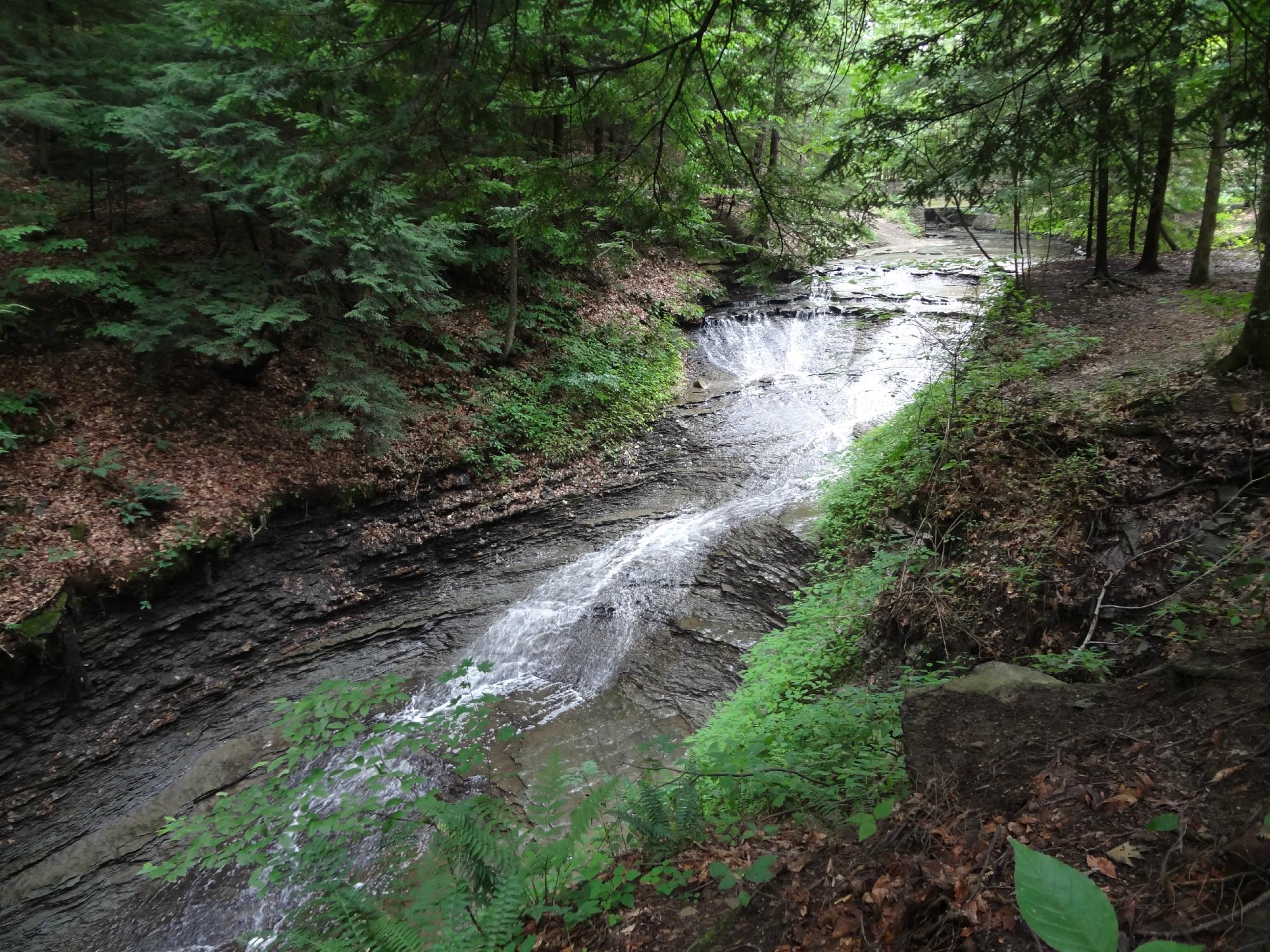 Bedford reservation mountain online bike trail