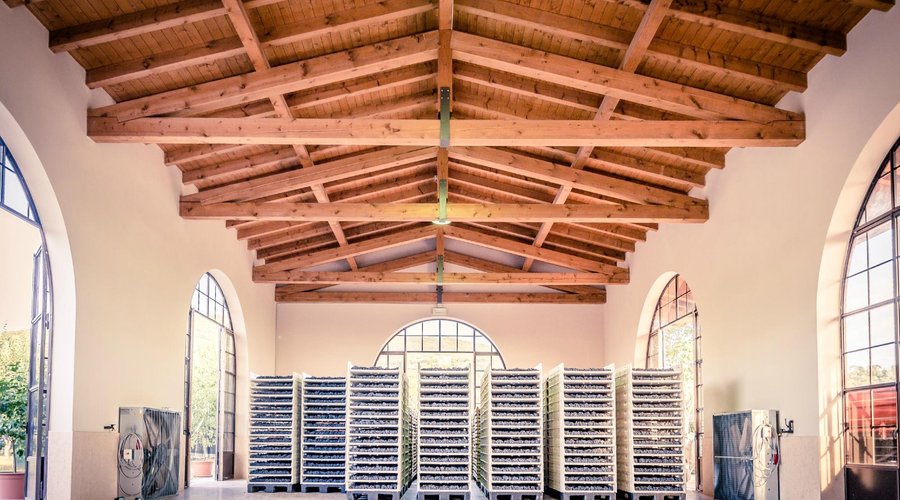 il fruttaio dell'azienda