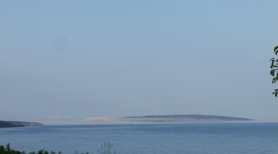 vue