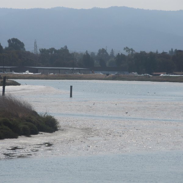 baylands park holi 2025