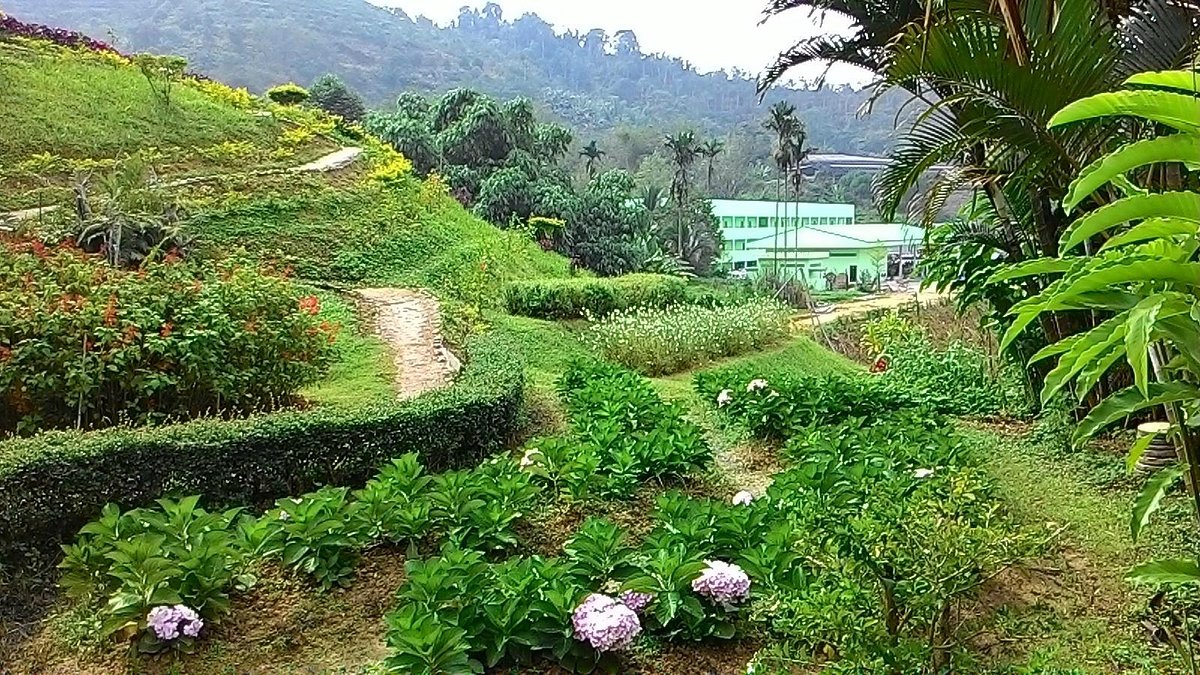 Winter Flower Garden (Betong) - All You Need to Know BEFORE You Go