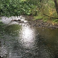 The River