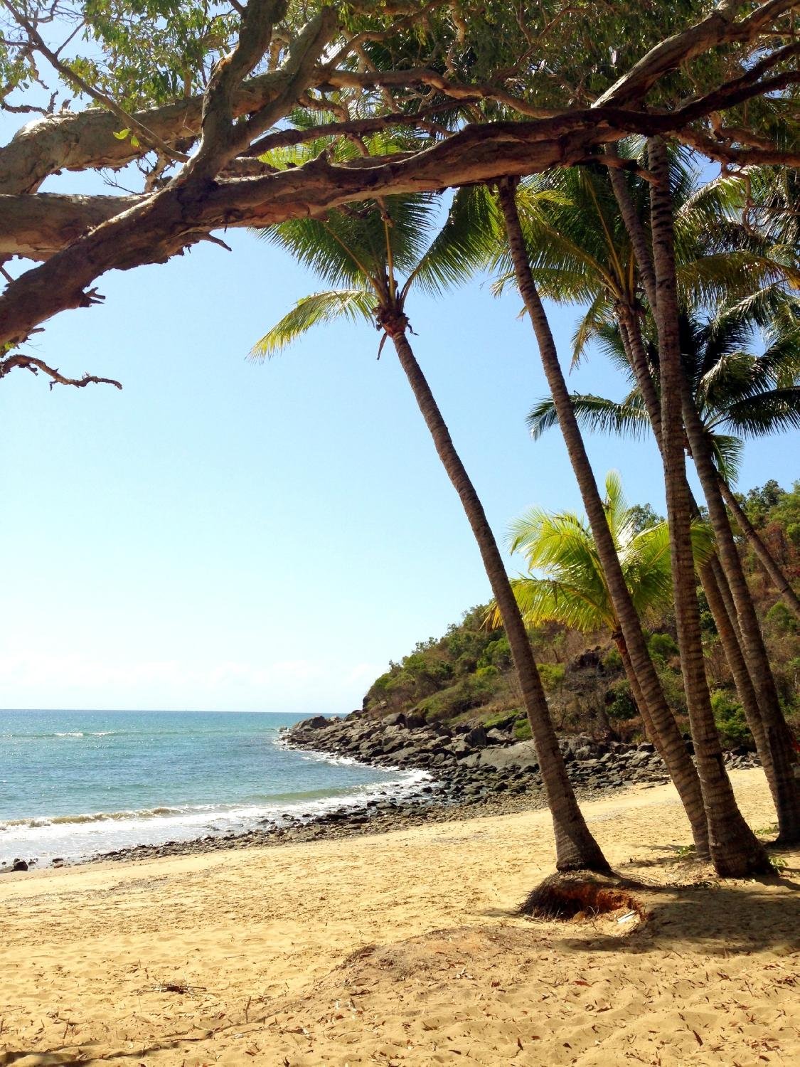 Foto e recensioni della piscina dell'Turtle Cove Beach Resort - Tripadvisor