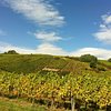 Things To Do in Wolff-Dresch vins d'alsace, Restaurants in Wolff-Dresch vins d'alsace