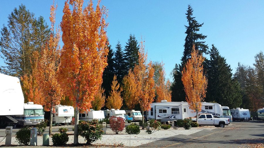 Maple Grove Rv Resort Updated 2020 Campground Reviews Everett Wa Tripadvisor
