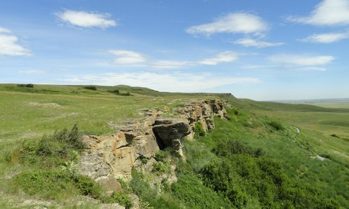 Buffalo Killing Cliff