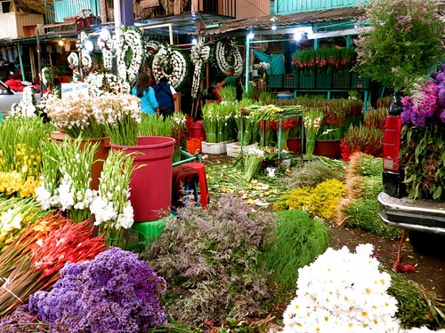 10 MEJORES Mercados de las pulgas y al aire libre en Ciudad de México