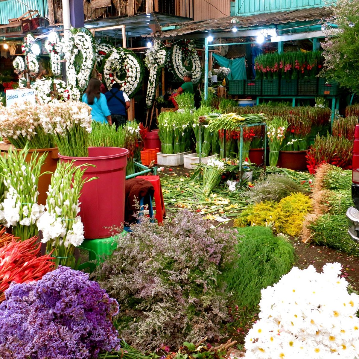 Mercado de Jamaica (Mexico City) - All You Need to Know BEFORE You Go